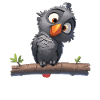 Gray Parrot Graupapageis Graupapagei