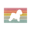 Cadeaux Bichon Frisé