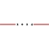 2024 Symbol