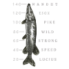 Big Pike