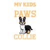 Short-haired Collie Dad