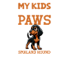 Smålandsstövare Papa