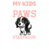 Stabyhoun Papa