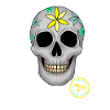 RetroSkull