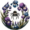 Jumping Spider
