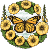 Papillon monarque
