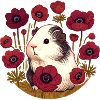 Guinea pig