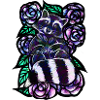 Waschbär