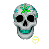 RetroSkull