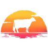cows sunrise retro cow