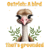 Ostrich a bird that's grounded