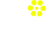 summer spring cheerful flower sunflower