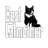 Chat Maman Meilleur Catmother Jamais Fou Chat Mère Kitty