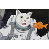 WELTRAUM KATZE