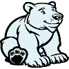 eisbär tier