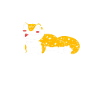 Gecko léopard
