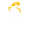 Gecko léopard