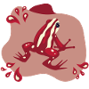 Red Frog