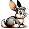 Rabbit