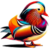 Mandarin duck