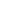 Sim Racing