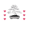Bonsaï Bonsaï japonais