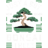 Bonsai Tree Japanese Bonsai