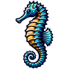 Hippocampe Hippocampe