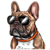 French Bulldog with Sunglasses