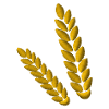Grain brodé