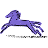 Knight