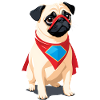 Super Pug Hero