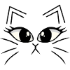 Chaton, chat, chat