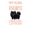 Swedish Lapphund Dad