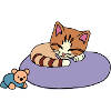 Katze