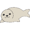 Seal Cute