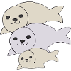 seal father mother child