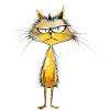 Crumpy Cat