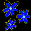 Three blue flowers
