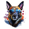Malinois with sunglasses