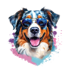 Australian Shepherd with sunglasses