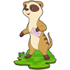 Meerkat Envelope