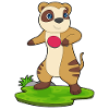 Raquette de ping-pong Meerkat