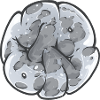 Graff Moon