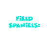 Field Spaniel