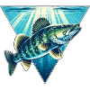Zander Pêche Pêche Poissons Prédateurs