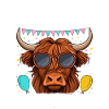 Papa du garçon d’anniversaire