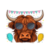 Brother Of The Birthday Boy