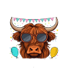 Mimi du garçon d’anniversaire