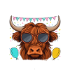 Nonna Of The Birthday Boy